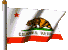 Flag California