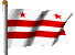 Flag District of Columbia